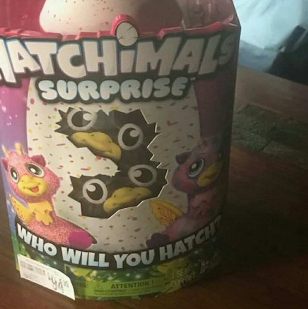 Twin hatchimal